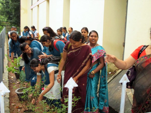 Campus Cleaning and Plantation Programme 2015